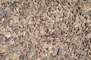 Pebble Background With Copy Space 