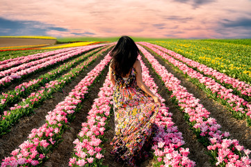 A woman in a coloured dress in a tulip field in the sunset, a female in a coloured dress and...
