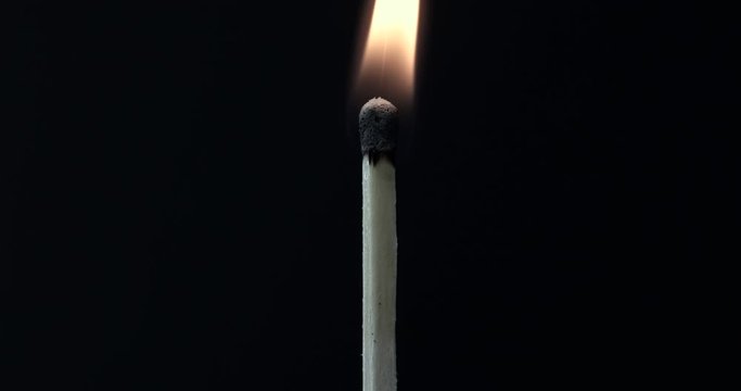 Match lighting and burning till the end and finally disappears from the flame on black background