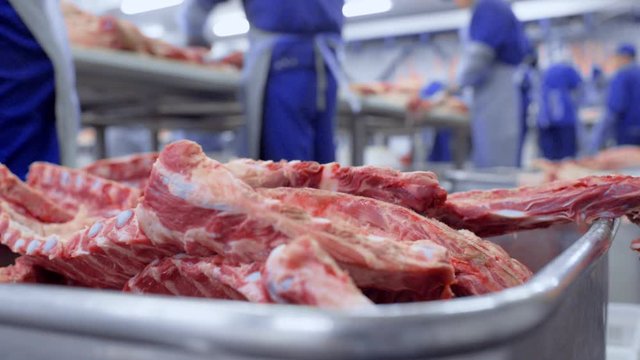 Food industry, meat processing. Butchers cut pork at the meat processing plant in the cutting shop.