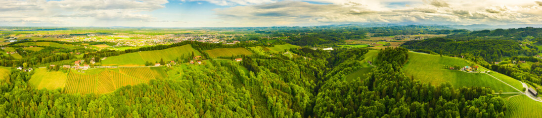 Obraz premium Aerial panorama of of green hills and vineyards with Leibnitz in background.