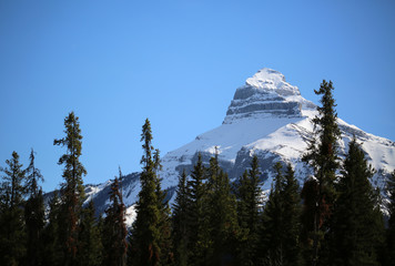 Beautiful snow peak in Banff National Park in a cold sunny day