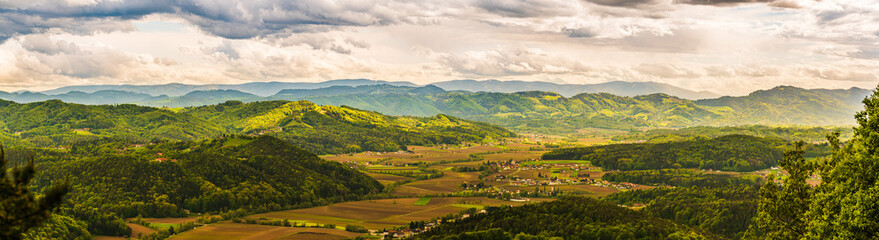 Fototapeta na wymiar Austria vineyards landscape. Leibnitz area in south Styria, wine country