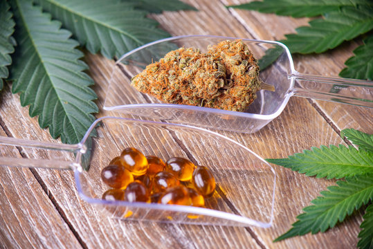 Cannabis dried flower and medical marijuana pills