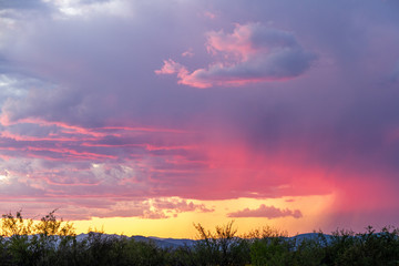 Distant rain in the Sonoran Desert of Arizona during sunset and blue skies.
