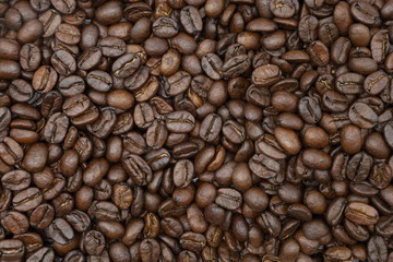 Fototapeta premium roasted coffee beans with background 