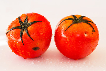 Fresh organic tomatoes with dew drops isolated on white background