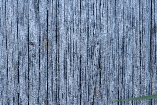 textura de madera antigua en mal estado