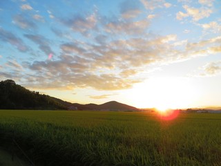 日本の田舎の風景　9月　夕焼雲と田んぼ