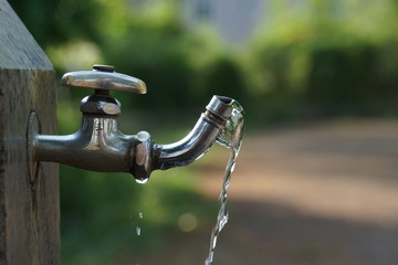 公園の水道