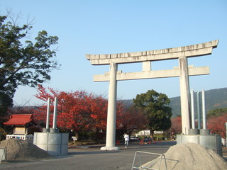 神社　鳥居　紅葉
