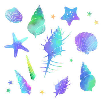 貝殻のイラストセット　水彩青系