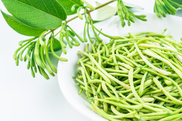 Fresh wild honeysuckle buds on white background