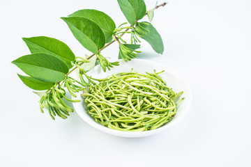 Fresh wild honeysuckle buds on white background