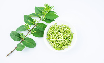 Fresh wild honeysuckle buds on white background