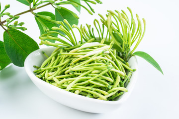 Fresh wild honeysuckle buds on white background