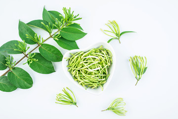 Fresh wild honeysuckle buds on white background