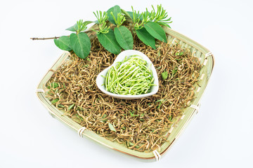 Dried honeysuckle and fresh honeysuckle buds