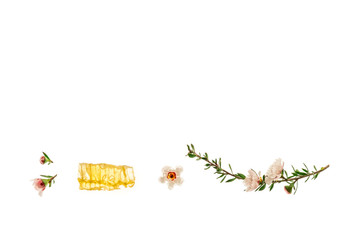 pure manuka honey and manuka flowers isolated on white background with copy space above