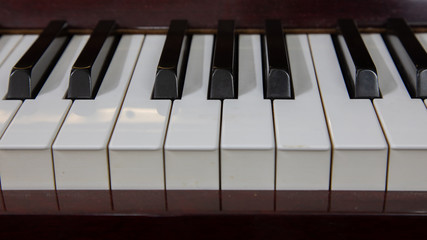 Close-up or macro image of piano keys by selective focus technique can be seen the details of classic instruments used in both Jazz and pop music which background and foreground are blurred.