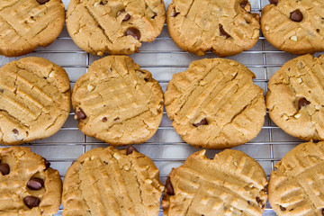 Fresh homemade peanut butter and chocolate chip cookies on cooling wires; Peanut Butter cookies with fork impressions lined up in rows
