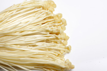 Close up shot of Enoki (Flammulina velutipes) is a mushroom that is well-known for its role in Japanese cuisine, where it is also known as Enokitake
