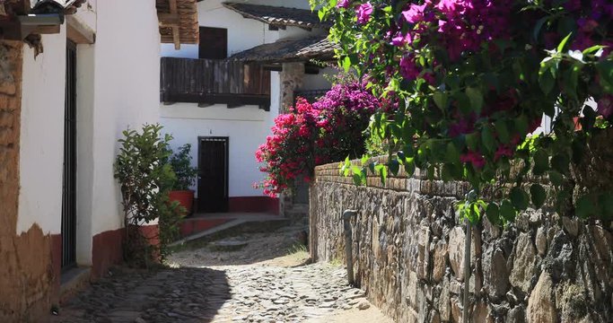 San Sebastian del Oeste Mexico cobblestone road flowers. San Sebasti&aacute;n del Oeste a town and municipality in Jalisco state, Mexico. Mining town in 1605, gold , silver and lead. Historical tourism.