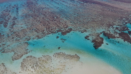 The Beauty of the New Caledonian Reef