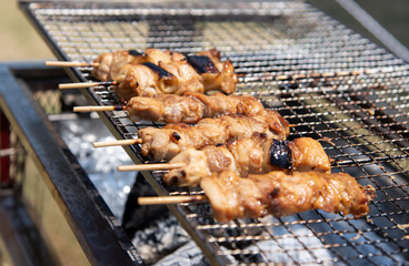 バーベキューで焼き鳥