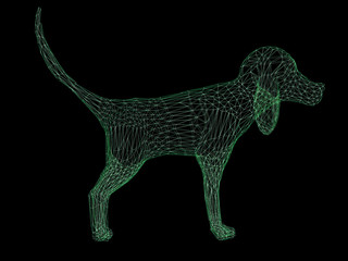 Wireframe polygonal beagle