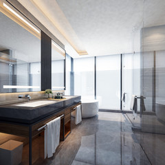 3D rendering of a Bathroom interior