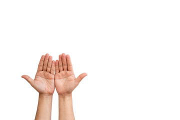 MAN'S  HANDS ISOLATED ON WHITE BACKGROUND FOR PALM READING PALMISTRY.