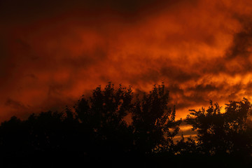 Obraz premium Apocalyptic sky and trees