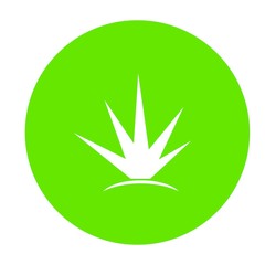 aloe vera logo