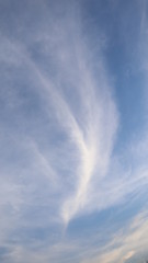 Abstract, the cloud looks like a large bird flew down.