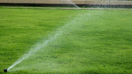 water sprinkler on green grass garden
