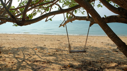 Swing under the tree beside beach on relaxing time.