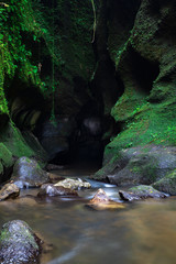 Naklejka na ściany i meble Tropical landscape. Hidden canyon in the jungle. River in rain forest. Soft focus. Landscape background. Slow shutter speed, motion photography. Bangli, Bali, Indonesia