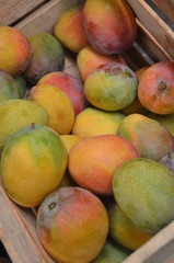Mango fresco
