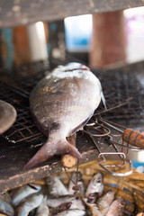 Raw Dorada barbecue ready fish, restaurant, Essaouira, Morocco 