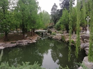 Fototapeta na wymiar Green spring China Beijing 