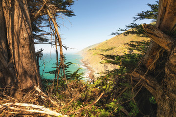 Fototapeta na wymiar Big Sur at Ragged Point, California Coastline. Scenic view of cliffs, ocean, and Cypress trees