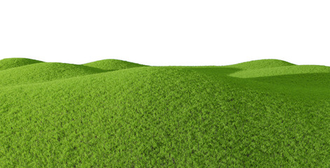 Green hill of grass field isolated on white background. 3D rendering.