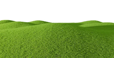 Foto op Aluminium Green hill of grass field isolated on white background. 3D rendering. © LAYHONG