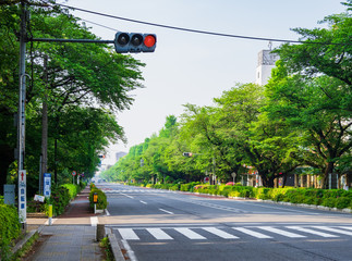 東京　国立市　大学通り