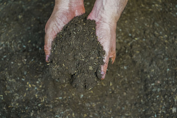 A person with a new gardening  agriculture Hobbie due to the Corona Virus Quarantine 