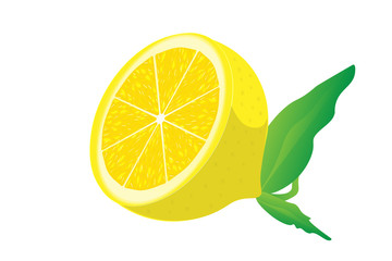 Vector illustration of lemon slice isolated on white background. Piece of citrus fruit