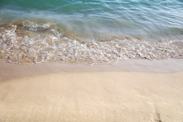 Sandy coast near the sea