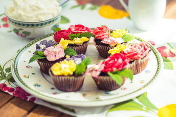 Colourful cupcakes with whipped cream