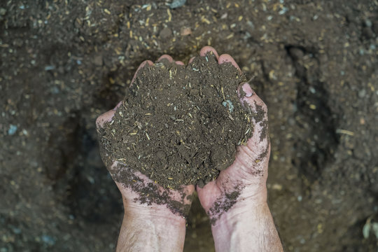 A person with a new gardening  agriculture Hobbie due to the Corona Virus Quarantine 